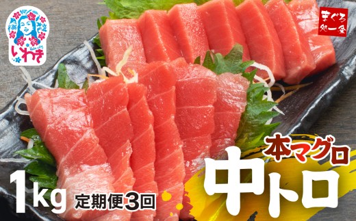 【定期便/計3回】本マグロ中トロ1kg（計3kg）|解凍レシピ付 1サクずつ真空包装  脂の甘みと濃厚赤身が絶妙なバランス