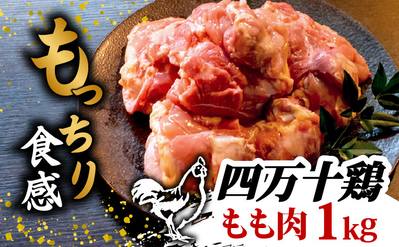 
            銘柄鶏 四万十鶏 もも肉 1kg ( 500g × 2パック ) | 切身 カットでかんたん時短セット カット済み 鳥肉 とりにく 鶏もも 冷凍 国産 ブランド 唐揚げ 煮物 鍋 チキン 南蛮 高知県 須崎市 TM042
          