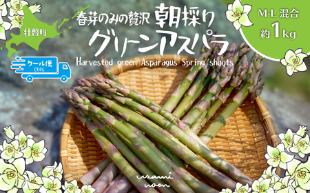 【2026年予約】朝採りグリーンアスパラ（春芽）M-L混合 約1kg 北海道壮瞥町産 SBTAJ032