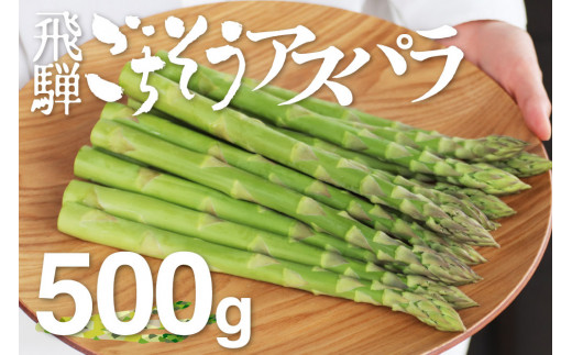 【先行予約 令和7年 2025年発送】《サイズM-L》飛騨の甘～い柔らかアスパラガスアスパラガス 500g