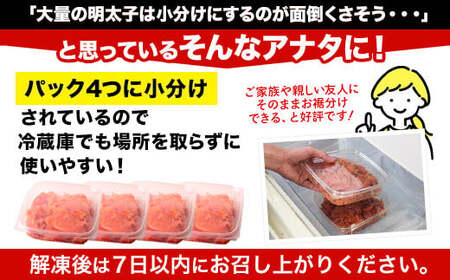 辛子明太子 ハーフセット 合計1kg  明太子  北洋海産