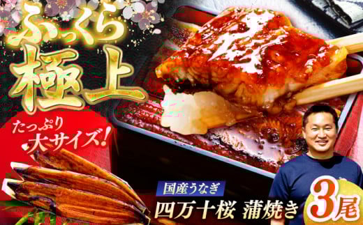 極上国産うなぎ四万十桜 蒲焼き3尾 たっぷり大サイズ / 国産 高知 四万十 うなぎ ウナギ 鰻 蒲焼き うな重 惣菜 贅沢 【有限会社もりた】 [ATHE002]