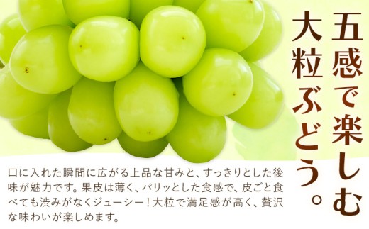 【2027年発送】ぶどう 雄宝 約1kg (1房入り) カプセル 西江果樹園《2027年8月中旬-8月下旬頃出荷》岡山県 笠岡市 送料無料 大粒 葡萄 マスカット 果物 岡山県産 国産 フルーツ お取