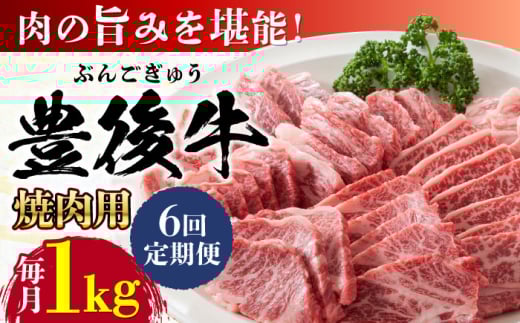【全6回定期便】おおいた豊後牛 焼肉用 1kg(500g×2P) 日田市 / 株式会社MEAT PLUS 牛肉 おおいた豊後牛 おおいた 豊後牛 黒毛和牛 国産  焼肉 焼肉用 [AREI102]