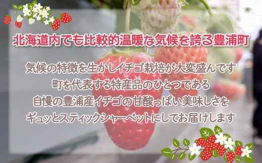 北海道 豊浦産 いちご果肉入り！50g×20本 イチゴシャーベット  TYUN037