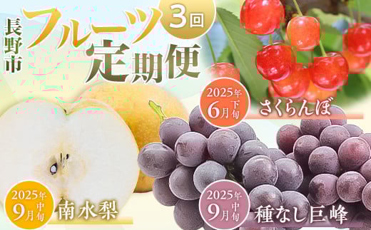 
            フルーツ定期便 長野市 3回（さくらんぼ・南水梨・巨峰）【2025年6月より発送】J1159
          
