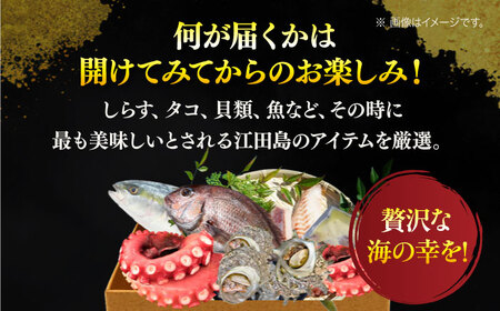 【何が届くかお楽しみ】旬の海の幸 福袋 寄附額2万円相当 魚介類 海産物 海鮮 刺身 広島 江田島市/七宝丸[XBY005]刺し身海鮮魚介類セット刺身