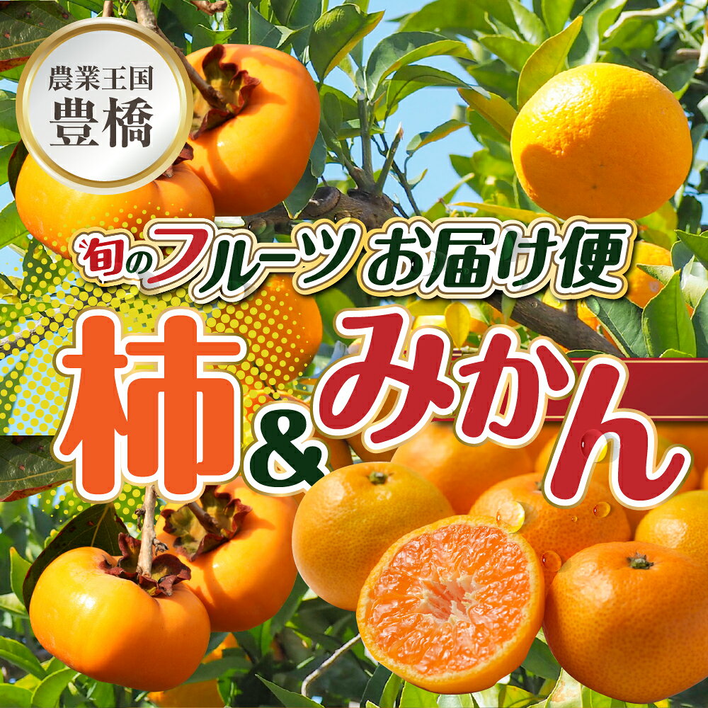 【ふるさと納税】《先行予約》柿 みかん 定期便　柿訳あり かき ミカン フルーツ 果物 2回 デザート 柑橘 愛知県 豊橋市 送料無料