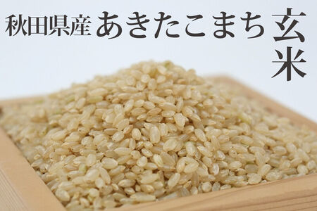 《令和8年産  新米先行受付》《定期便5ヶ月》秋田県産 あきたこまち 10kg(10kg×1袋)×5回【玄米】計50kg [新米 あきたこまち 10kg 秋田県産 米 秋田県産 国産]