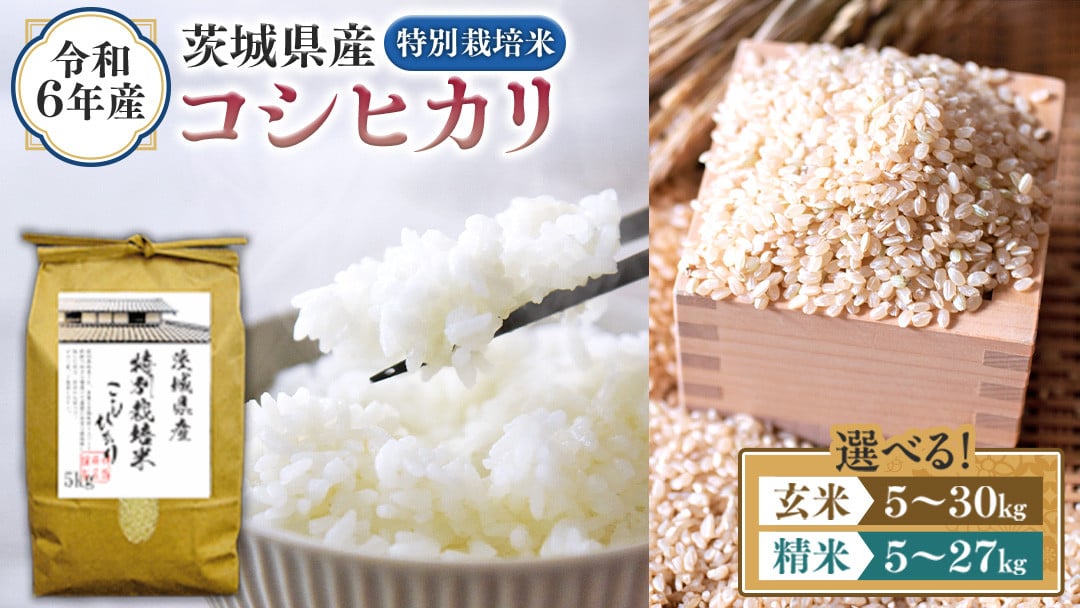 
            ＼ 選べる内容量 ／ 令和6年産 茨城県産 コシヒカリ 特別栽培米 （精米 5kg・10kg・27kg / 玄米 5kg・10kg・30kg） 白米 こしひかり 米 コメ こめ 単一米 限定 茨城県産 国産 美味しい お米 おこめ おコメ
          