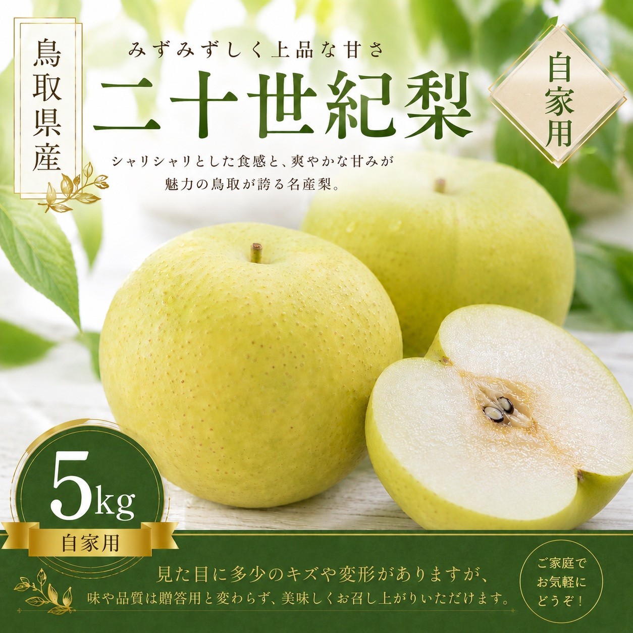 
                  きしだ農園 二十世紀梨 自家用5kg 【鳥取県 境港市】
                