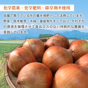 【京都府産】玉ねぎ 10㎏