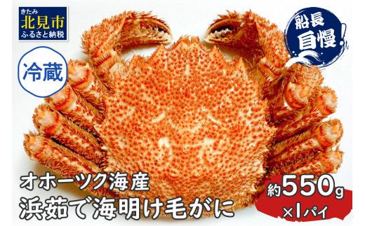 【予約：2026年3月下旬から順次発送】【旬の浜ゆで毛ガニを冷蔵便で】オホーツク海産 浜茹で海明け毛がに 約550g×1パイ 冷蔵 ( かに 蟹 魚介類 海鮮 )【114-0027-2026】