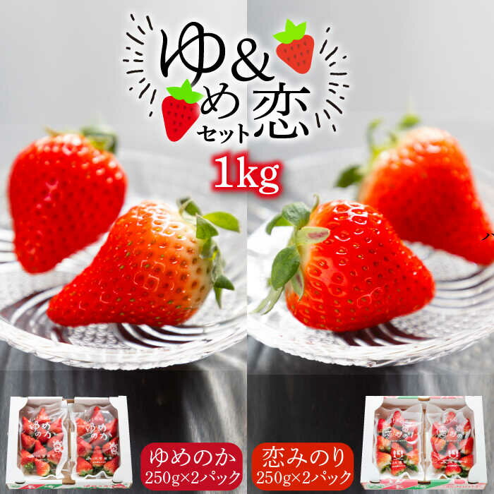 【ふるさと納税】ゆめ恋セット（ゆめのか・恋みのり）計1kg《壱岐市》【蒼花】[JEO001] いちご イチゴ 苺 フルーツ 果物 スムージー ジャム ゆめのか 恋みのり セット 食べ比べ 小分け パック 冷蔵 あまおう 15000 15000円 冷蔵配送
