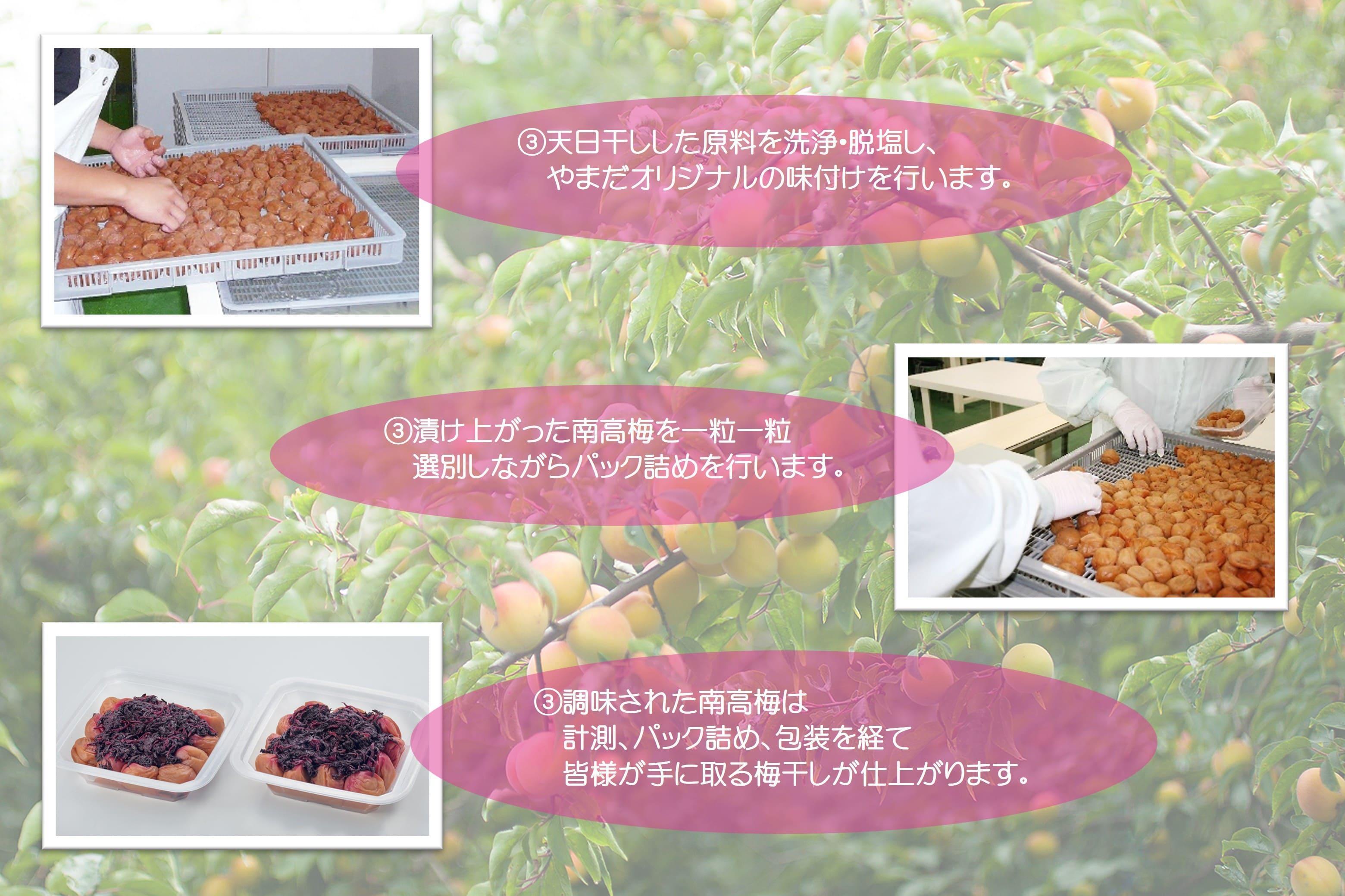 紀州南高梅 しそプレミアム塩分約6％ 850g ［YM14］
