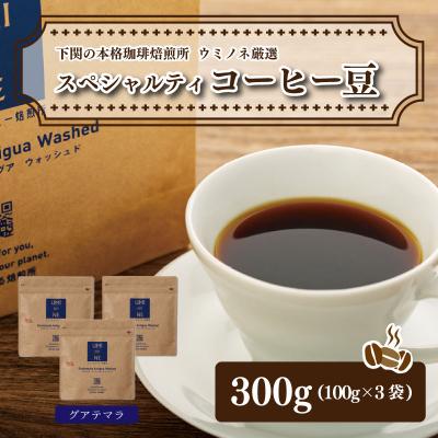 ふるさと納税 下関市 スペシャルティ コーヒー豆セット グアテマラ 300g(100g×3袋) EW122