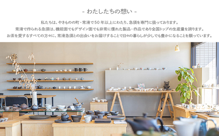 常滑焼急須　TAKASUKE　（shiro-2 横手右） 常滑焼 急須 シンプルデザイン おしゃれ 焼き物 特産品 贈り物 プレゼント 高資陶苑 TOKONAME 茶器 和食器 陶器 陶磁器 ティーポ