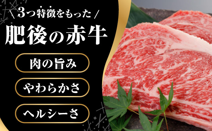 【全3回定期便】肥後の赤牛 ロースステーキ 500g ロース ステーキ 贅沢 熊本 赤牛 赤牛 褐牛 あかうし 褐毛和種 肥後 冷凍 国産 牛肉 九州産 熊本産【やまのや】[YDF027]