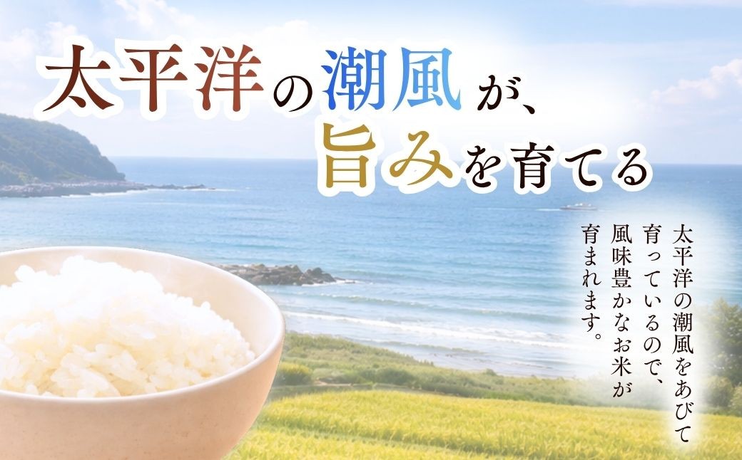 お米 米 こめ コメ 白米 精米 ごはん ご飯 ライス にじのきらめき ニジノキラメキ 5kg