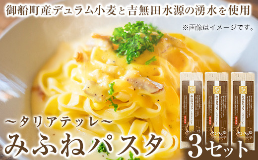 
            みふねパスタ 180g×3セット 福永幸山堂《60日以内に出荷予定(土日祝除く)》熊本県 御船町 福永幸山堂 パスタ タリアテッレ 送料無料
          