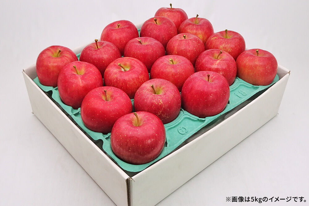 【26年10月発送】りんご 弘前ふじ【良品】約10kg キタエアップル 青森県 弘前市 [先行予約 弘前ふじ りんご 贈り物 アップル おいしい 果実 果物 赤色 美味 林檎]