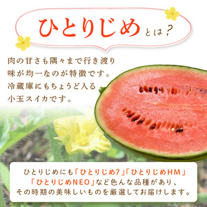 小玉すいか(ひとりじめ)2～3玉 和歌山産《先行予約》