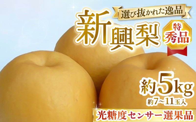 
                  【先行予約】上野梨園の特選大玉 新興梨『特秀品』選び抜かれた逸品 5kg 光糖度センサー選果品 梨園直送！ / 期間限定 果物 フルーツ 農家直送 シャキシャキ もぎたて 旬 お取り寄せ ※2026年10月中旬より順次発送 [aw077-b003]
                