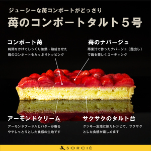 【着日指定可】クリスマスケーキ 苺 のコンポート タルトケーキ 5号 直径16cm 4人～6人分 530g 【クリスマス飾り付】 スイーツ ギフト いちご | デザート ケーキ お菓子 洋菓子 冷凍 
