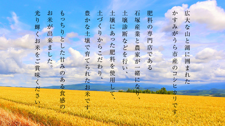 【令和7年産】 ミルキークイーン 精米 5kg（5kg×1袋）（茨城県共通返礼品 かすみがうら市産） [EX016sa]