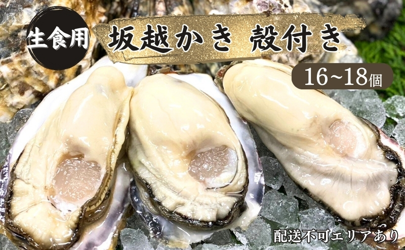 
牡蠣 生食用 坂越かき 殻付き 16～18個[ 生牡蠣 真牡蠣 かき カキ 冬牡蠣 ]
