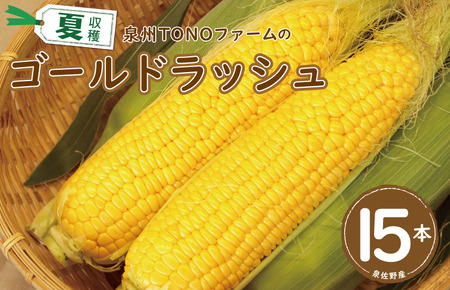 G1107 ゴールドラッシュ 15本【新鮮 野菜 泉佐野産 とうもろこし コーン やさい TONOファーム 数量限定】