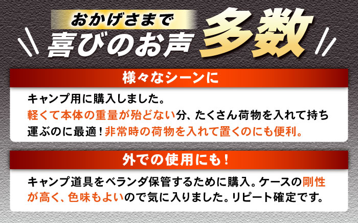 トランクカーゴ ベージュ SSサイズ 2個組 / キャンプ ボックス 収納 アウトドア 防災 コンテナ ケース 道具箱 レジャー 釣り ギア 頑丈 キャンプ用品 インテリア / 恵那市 / 東谷株式会