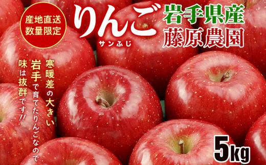 【先行予約】りんご サンふじ 5kg 14~20玉 季節限定 リンゴ 林檎 産地直送 新鮮 アップル くだもの 果物 フルーツ ふじ サンフジ 旬 盛岡りんご 旬のりんご 甘い あまい 果実 秋 冬 特産 盛岡市産 盛岡産 岩手産 国産 農家 岩手県 盛岡市 岩手 盛岡 藤原農園 有限会社トゥレイス treis004