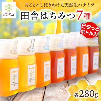 ふるさと納税 五霞町 【生ハチミツ全7種類　専用ボトル入り】月ごとに楽しむ田舎はちみつ　280g7本セット