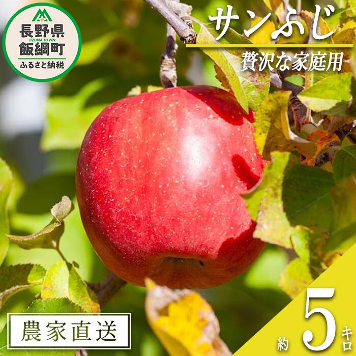 りんご サンふじ ちょっぴり贅沢な家庭用 5kg 松澤農園 沖縄県への配送不可 令和5年度収穫分 長野県 飯綱町 〔 信州 果物 フルーツ リンゴ 林檎 長野 13000円 予約 農家直送 〕発送時期：2023年11月下旬～2024年2月上旬 {**}