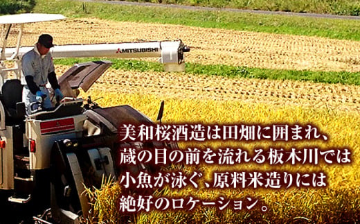 美和桜酒造の飲み比べセット 三次市/美和桜酒造 [APBF006]