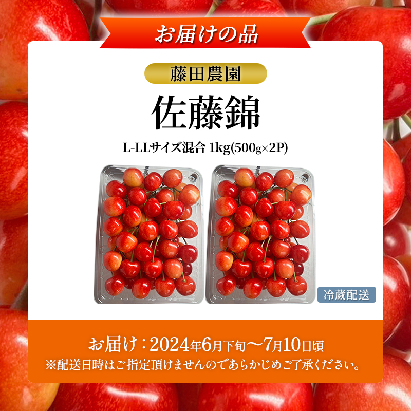 北海道 仁木町産 さくらんぼ 佐藤錦 1kg (500g×2) L-LLサイズ混