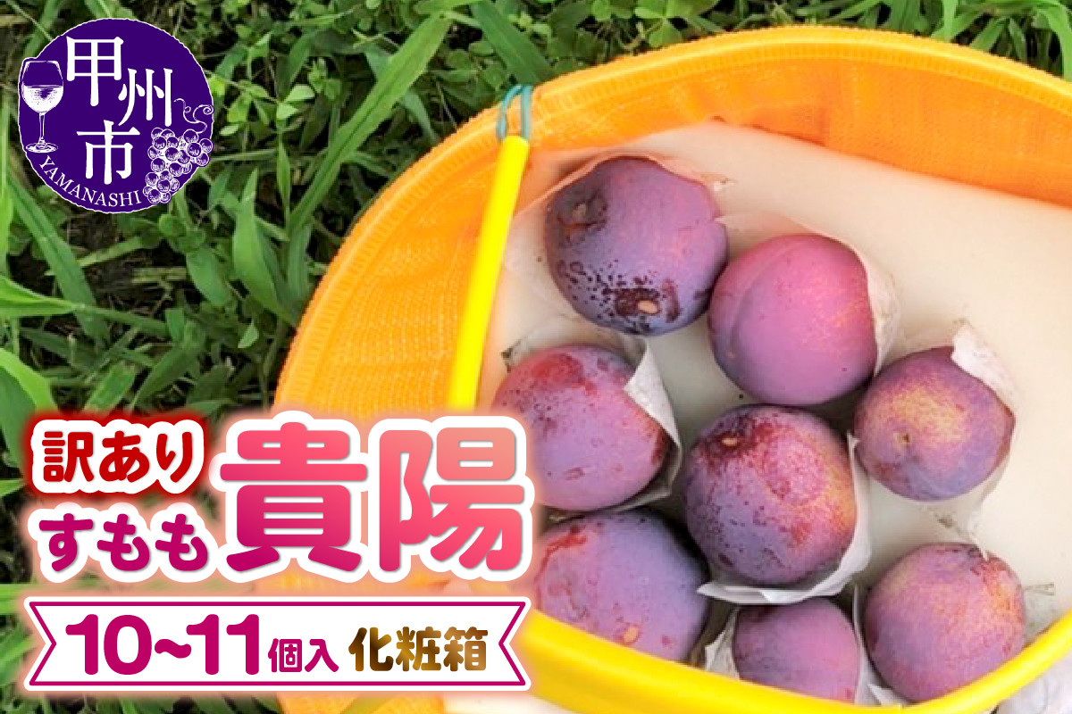 
            【訳あり】童夢のすもも「貴陽」化粧箱 10～11玉（約1.1～1.4kg）【2025年発送】（DOM）A05-141 【貴陽 すもも スモモ 令和7年発送 期間限定 山梨県産 甲州市 フルーツ 果物】
          