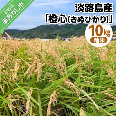 ふるさと納税 南あわじ市 淡路島産「橙心(きぬひかり)」精米10kg