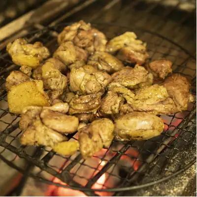 鶏炭火焼 大和肉鶏の炭火焼き 2パック 8-098