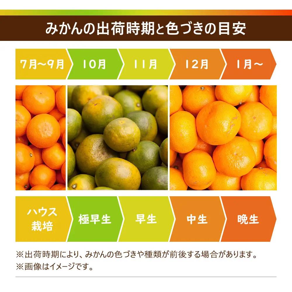 ［先行予約］プレミアム 有田みかん10kg+250g（傷み補償分）［2026年10月初旬から2027年1月末日頃順次発送予定］［IKE249］
