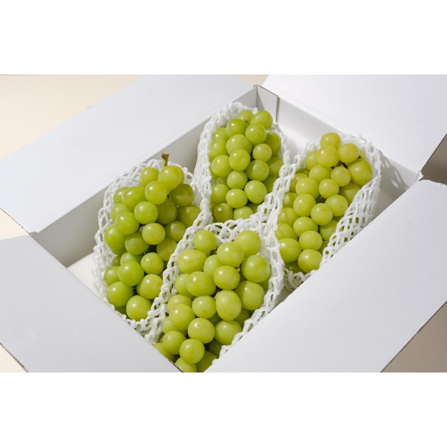 ＜Bonchi＞甲州市産シャインマスカット4～5房入(2.2kg) 自然農法