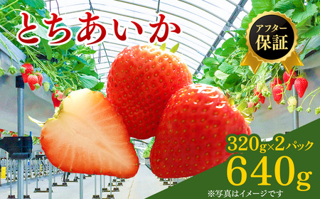 【先行予約】いちご 320g×2p (2月発送) | いちご ※2027年2月～発送
