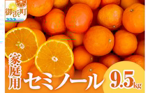 【2026年発送 先行予約品】ジューシーさダントツ！ミカファームのセミノール9.5キロ(家庭用)【数量限定 果物 フルーツ みかん セミノール デザート 9.5kg 家庭用 三重県 御浜町】