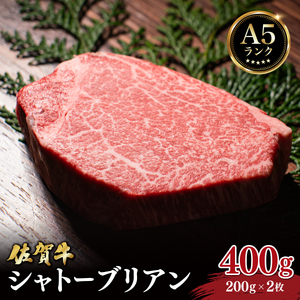 佐賀牛シャトーブリアン400g(200g×2枚)