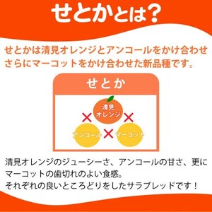 とろける食感!ジューシー柑橘　せとか　約2.5kg【1596874】