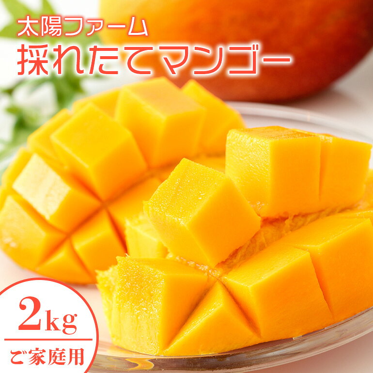 【ふるさと納税】【 先行予約 2027年 発送 】 農家直送 ! 太陽ファームのマンゴー 2kg ( ご家庭用 ) マンゴー 沖縄県産 マンゴー アップルマンゴー アーウィンマンゴー 完熟マンゴー 果物 南国 くだもの フルーツ 完熟 夏 旬 沖縄 お取り寄せ 産地直送 糸満市 送料無料