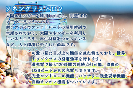 ＜ボタニカルアート ソネングラス＞翌月末迄に順次出荷【 インテリア ライト 飾り かわいい プレゼント 贈り物 ソーラー 雑貨 アウトドア 出産祝い 】