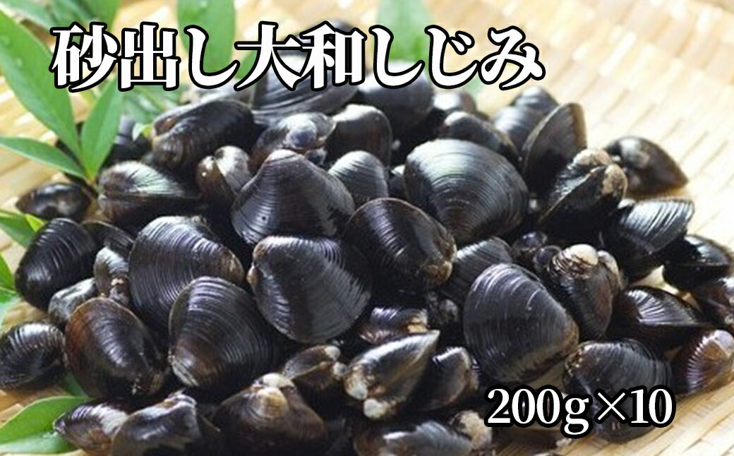 【ふるさと納税】網走湖産 砂出し大和しじみ 2kg(200g×10）【ふるさと納税 人気 おすすめ ランキング しじみ シジミ 蜆 しじみ貝 シジミ貝 しじみ汁 味噌汁 大和しじみ 大和シジミ 砂出し 網走産 オホーツク 北海道産 北海道 網走市 送料無料 】 ABW117