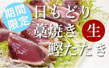 期間限定！土佐沖 一本釣り 日もどり「生」戻りカツオ　藁焼きたたき2～3節［1211］
